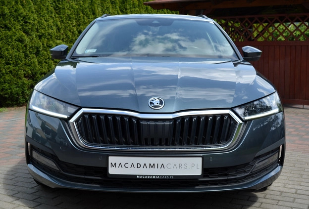 Skoda Octavia cena 75900 przebieg: 118700, rok produkcji 2020 z Kazimierza Wielka małe 211